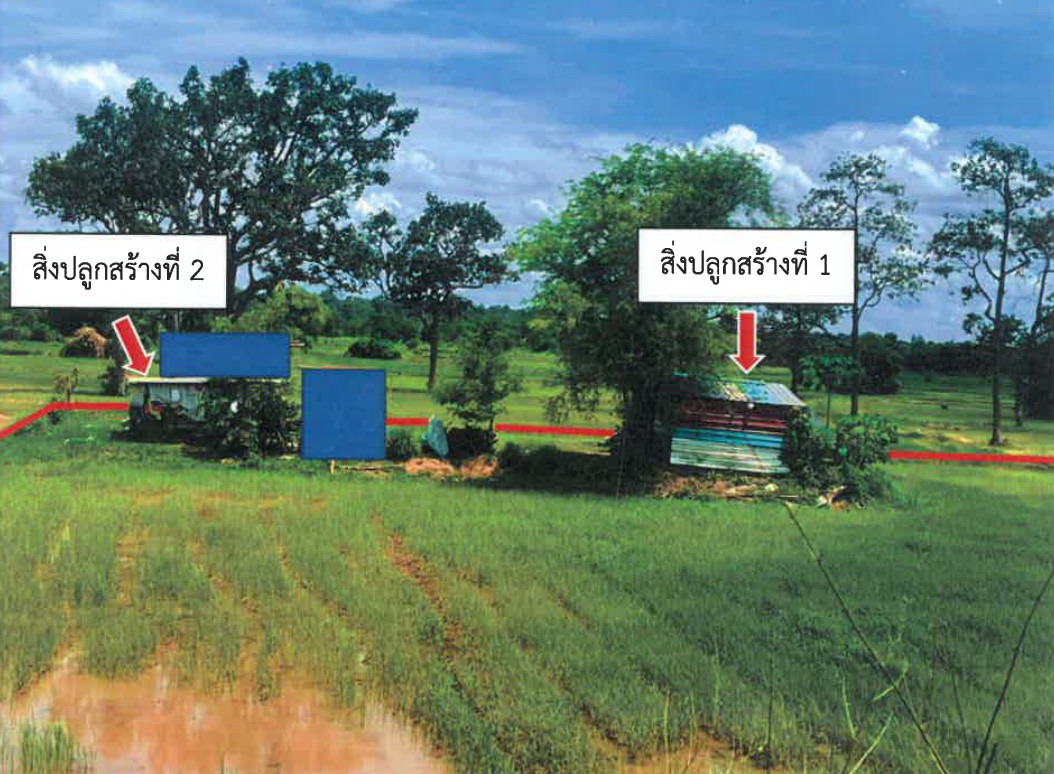 ขายทอดตลาด ที่ดินพร้อมสิ่งปลูกสร้าง ต.ท่าม่วง อ.เสลภูมิ จ.ร้อยเอ็ด