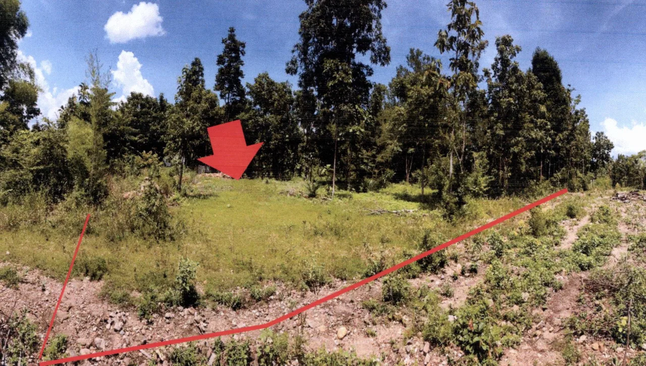 ขายทอดตลาด ที่ดินว่างเปล่า ต.เถินบุรี อ.เถิน จ.ลำปาง