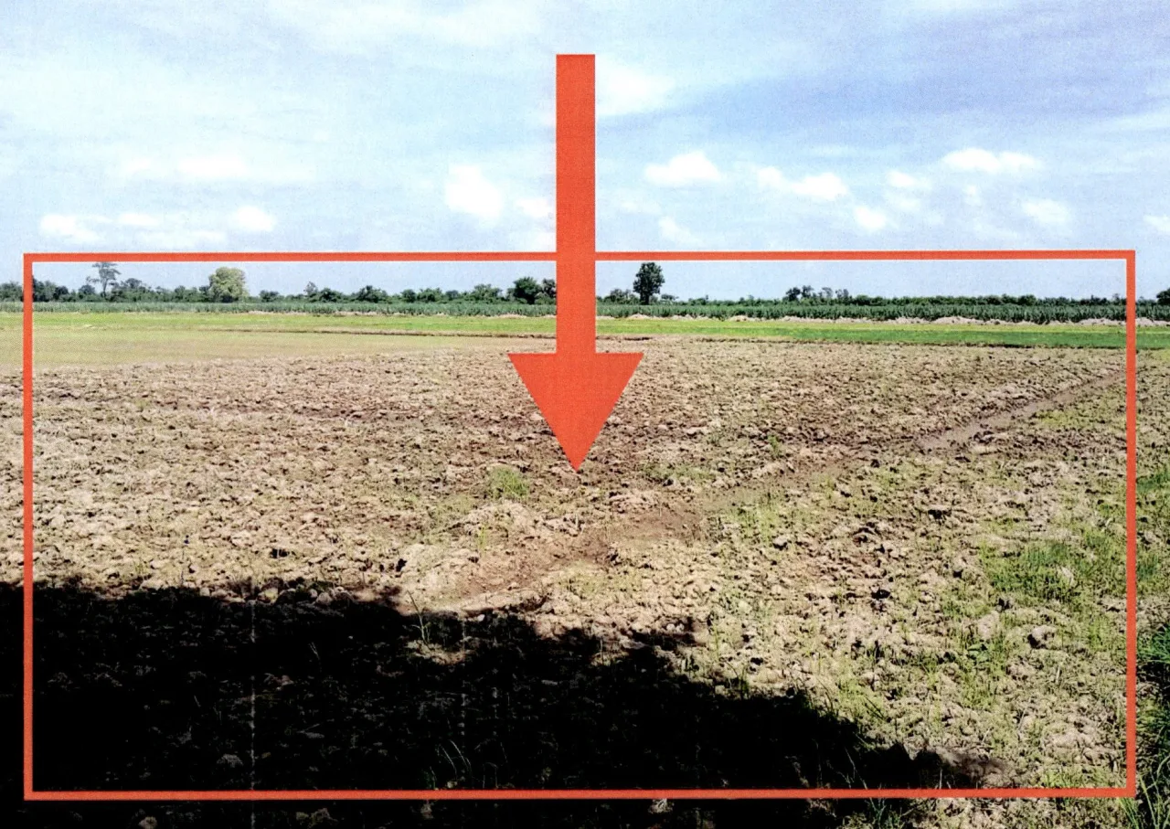 ขายทอดตลาด ที่ดินว่างเปล่า ต.ปงแสนทอง อ.เมืองลำปาง จ.ลำปาง