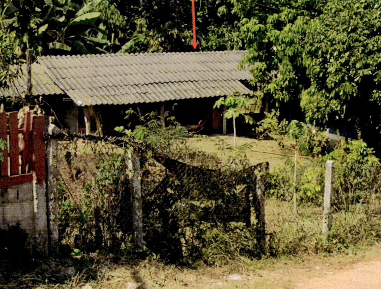 ขายทอดตลาด ที่ดินพร้อมสิ่งปลูกสร้าง ต.เมืองยาว อ.ห้างฉัตร จ.ลำปาง