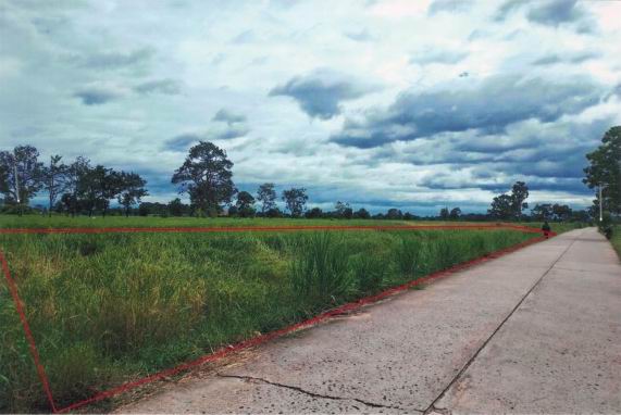 ขายทอดตลาด ที่ดินว่างเปล่า ต.คอนกาม อ.ยางชุมน้อย จ.ศรีสะเกษ