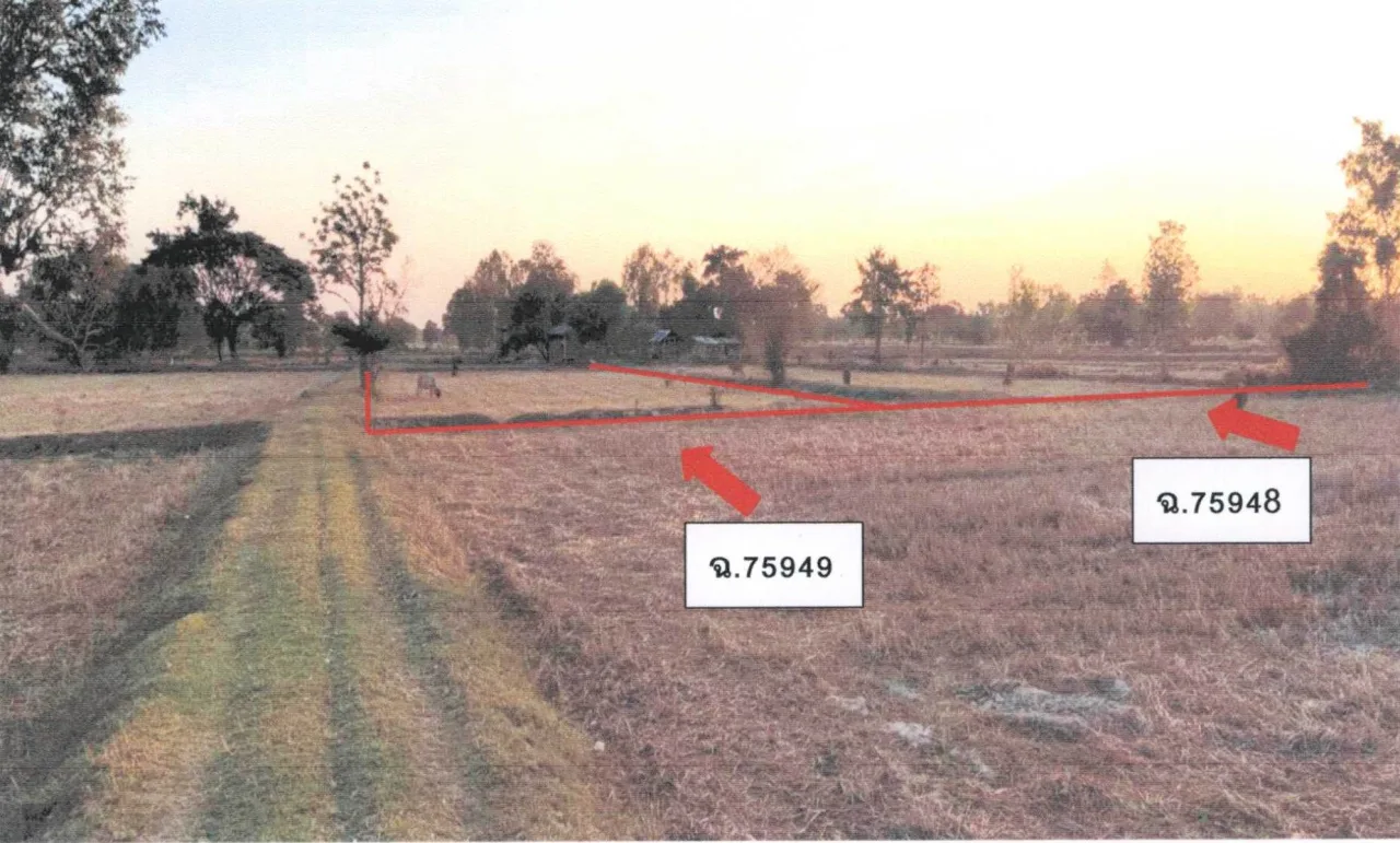 ขายทอดตลาด ที่ดินว่างเปล่า ต.หนองแก้ว อ.เมืองศรีสะเกษ จ.ศรีสะเกษ