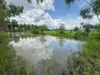 รูปทรัพย์ 1