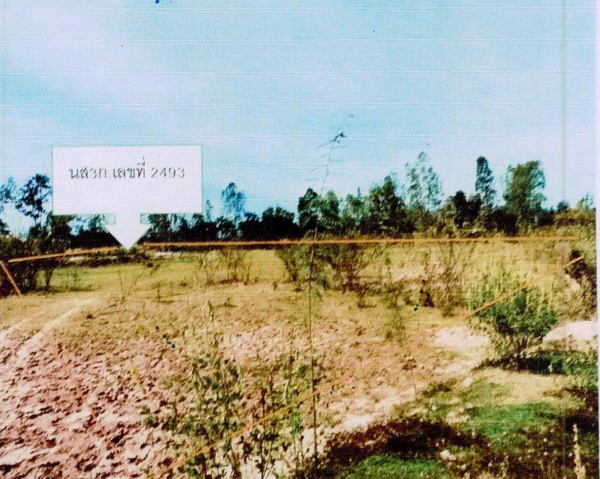ขายทอดตลาด ที่ดินว่างเปล่า ต.น้ำคำ อ.เมืองศรีสะเกษ จ.ศรีสะเกษ