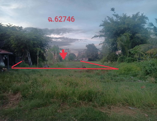 ขายทอดตลาด ที่ดินว่างเปล่า ต.นิเวศน์ อ.ธวัชบุรี จ.ร้อยเอ็ด