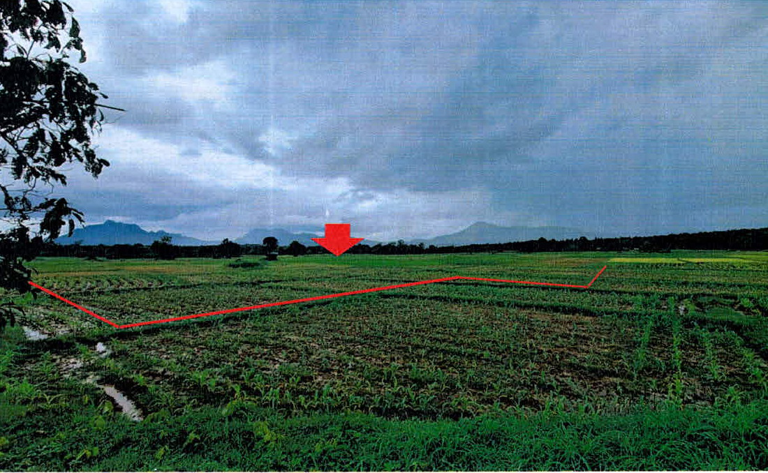 ขายทอดตลาด ที่ดินว่างเปล่า ต.นาสัก อ.แม่เมาะ จ.ลำปาง