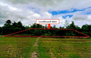 รูปทรัพย์ 2