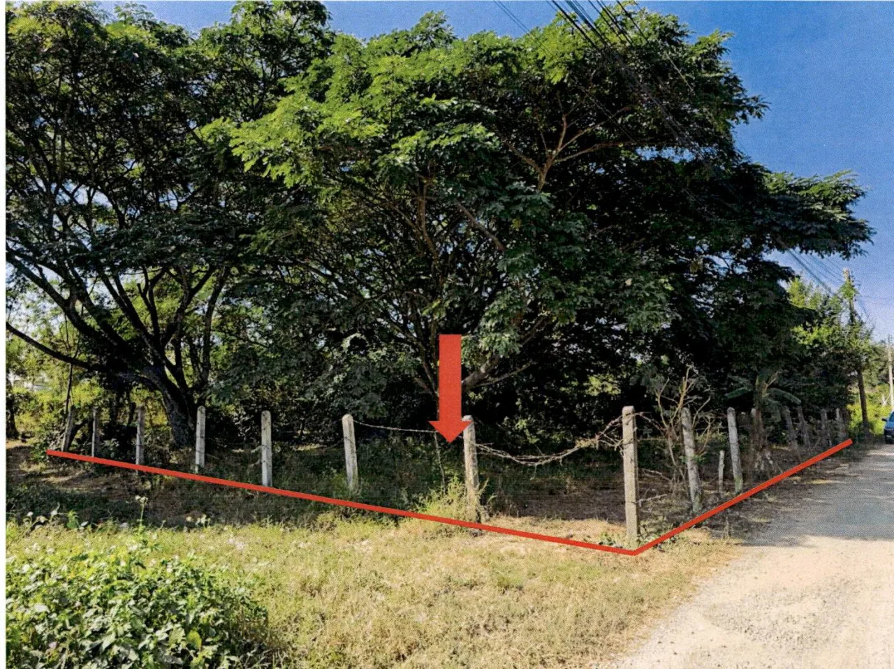 ขายทอดตลาด ที่ดินว่างเปล่า ต.ปงแสนทอง อ.เมืองลำปาง จ.ลำปาง