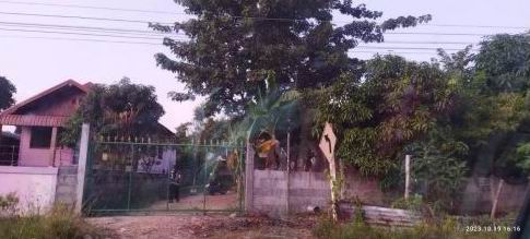 ขายทอดตลาด ที่ดินพร้อมสิ่งปลูกสร้าง ต.คลองขาม อ.ยางตลาด จ.กาฬสินธุ์
