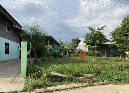 ขายทอดตลาด ที่ดินว่างเปล่า ต.พระเจ้า อ.เชียงขวัญ จ.ร้อยเอ็ด