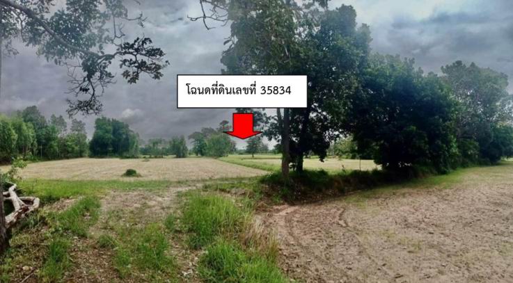 ขายทอดตลาด ที่ดินว่างเปล่า ต.สระคู อ.สุวรรณภูมิ จ.ร้อยเอ็ด