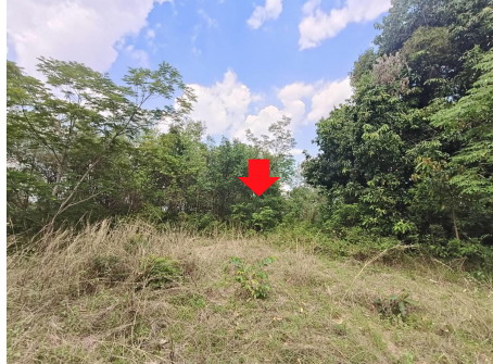 ขายทอดตลาด ที่ดินว่างเปล่า จ.ขอนแก่น