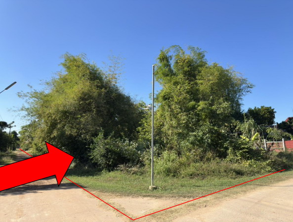ขายทอดตลาด ที่ดินว่างเปล่า ต.พลับพลา อ.เชียงขวัญ จ.ร้อยเอ็ด