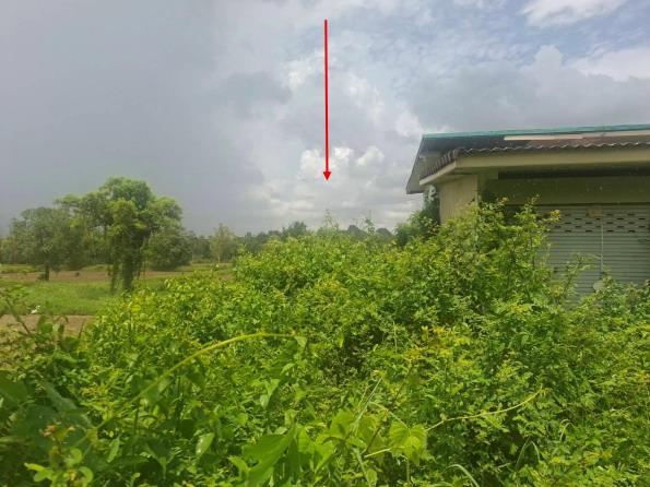 ขายทอดตลาด ที่ดินพร้อมสิ่งปลูกสร้าง ต.ท่าม่วง อ.เสลภูมิ จ.ร้อยเอ็ด