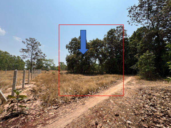 ขายทอดตลาด ที่ดินว่างเปล่า ต.ท่าม่วง อ.เสลภูมิ จ.ร้อยเอ็ด