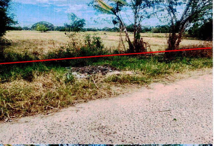 ขายทอดตลาด ที่ดินว่างเปล่า จ.ศรีสะเกษ