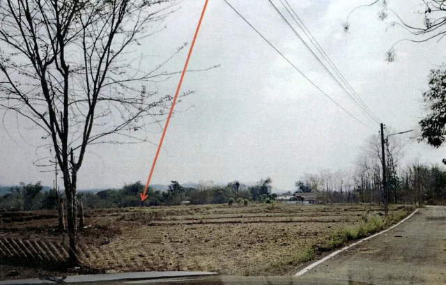ขายทอดตลาด ที่ดินว่างเปล่า จ.นครราชสีมา