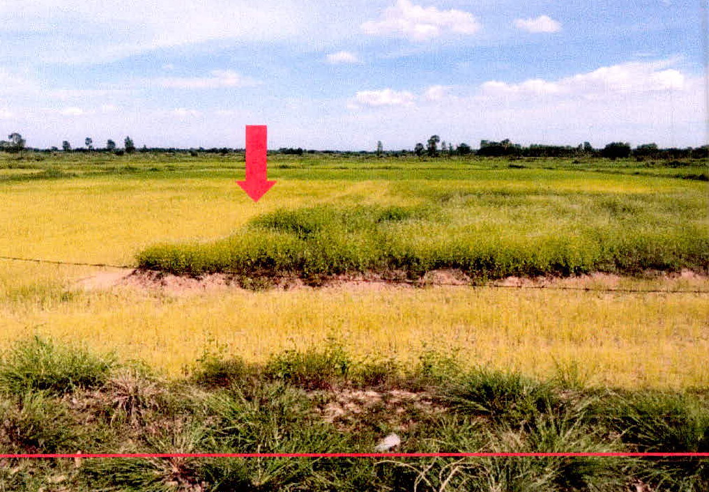 ขายทอดตลาด ที่ดินว่างเปล่า จ.กาญจนบุรี