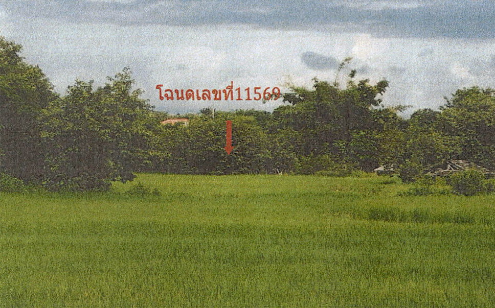 ขายทอดตลาด ที่ดินว่างเปล่า ต.เสริมซ้าย อ.เสริมงาม จ.ลำปาง