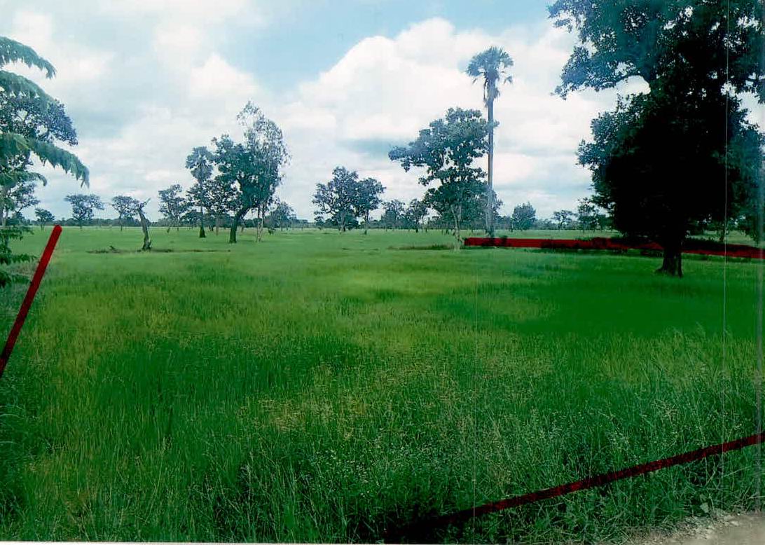 ขายทอดตลาด ที่ดินว่างเปล่า ต.คอนกาม อ.ยางชุมน้อย จ.ศรีสะเกษ