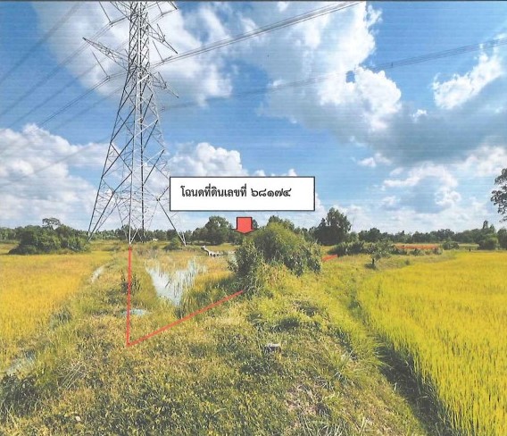 ขายทอดตลาด ที่ดินว่างเปล่า ต.นาโพธิ์ อ.เมืองร้อยเอ็ด จ.ร้อยเอ็ด