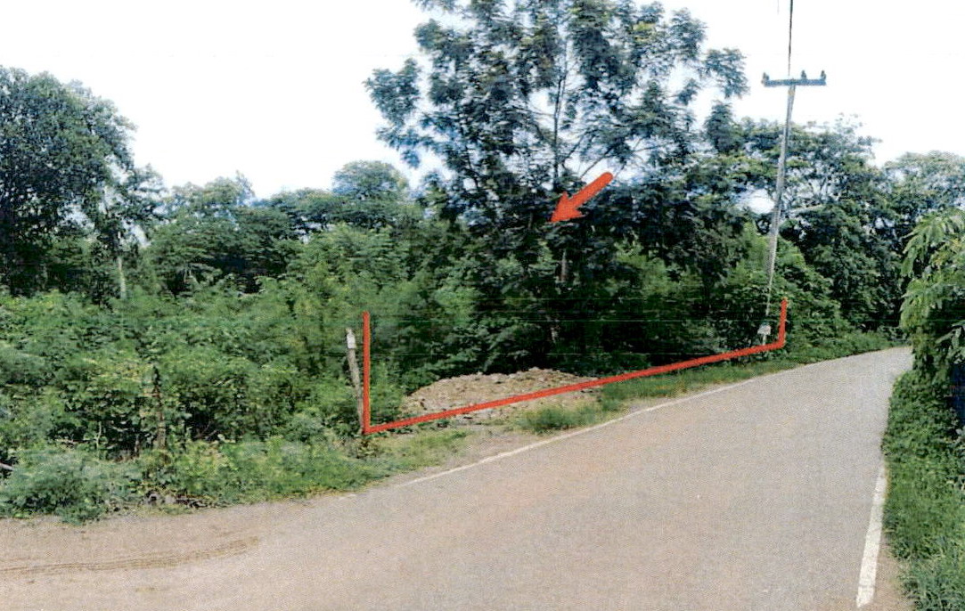 ขายทอดตลาด ที่ดินว่างเปล่า จ.ลำปาง
