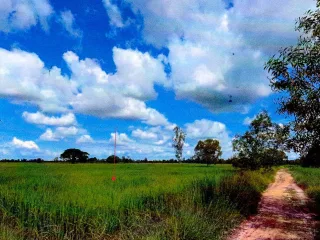 รูปทรัพย์ 1