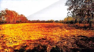 รูปทรัพย์ 3