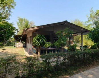 ขายทอดตลาด ที่ดินพร้อมสิ่งปลูกสร้าง ต.หนองแวง อ.เมืองร้อยเอ็ด จ.ร้อยเอ็ด