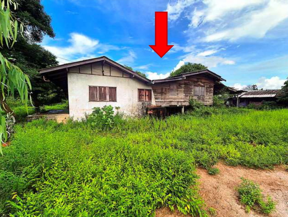 ขายทอดตลาด ที่ดินพร้อมสิ่งปลูกสร้าง ต.เพ อ.เมืองระยอง จ.ระยอง