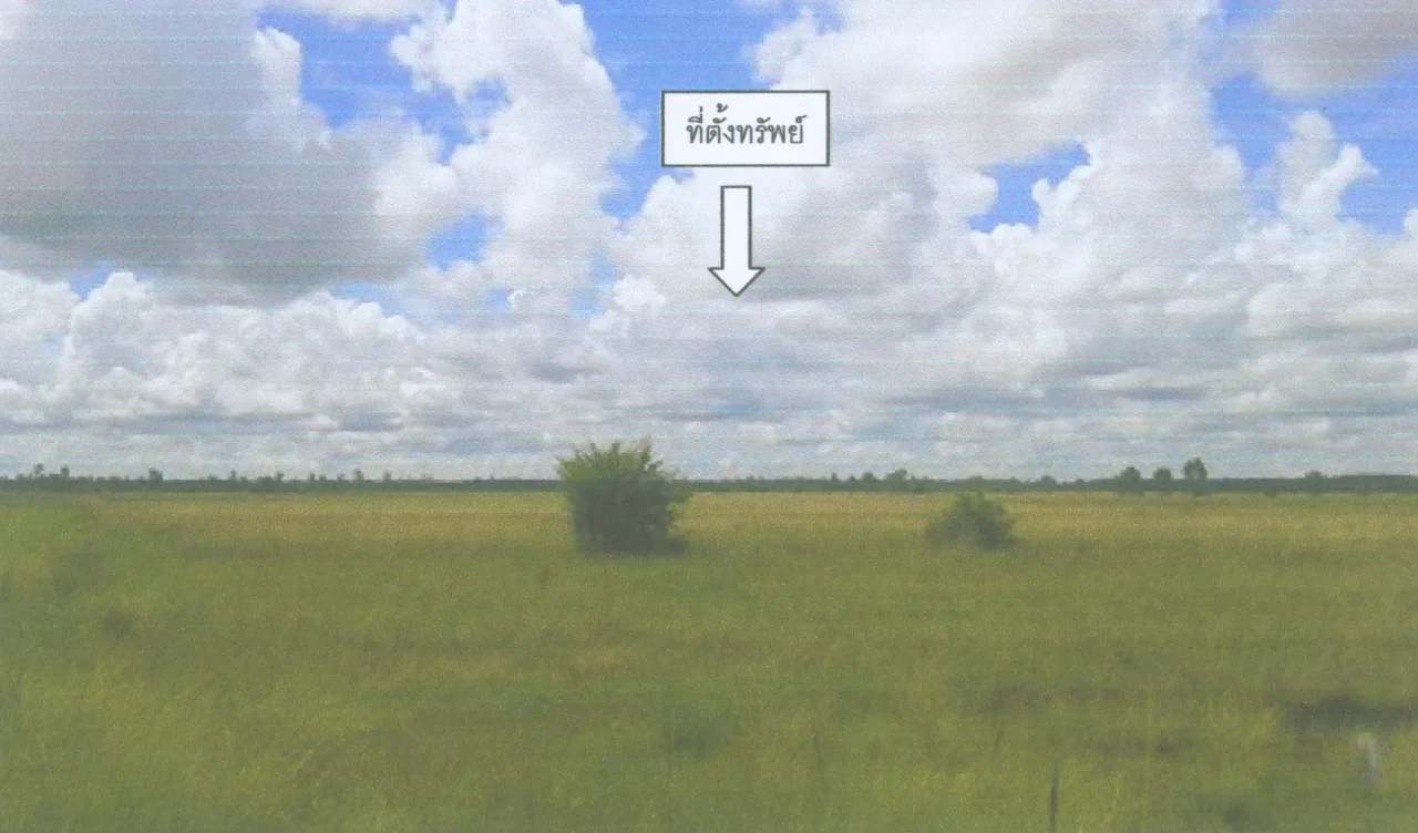 ขายทอดตลาด ที่ดินว่างเปล่า ต.น้ำคำ อ.เมืองศรีสะเกษ จ.ศรีสะเกษ