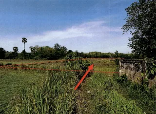 รูปทรัพย์ 3