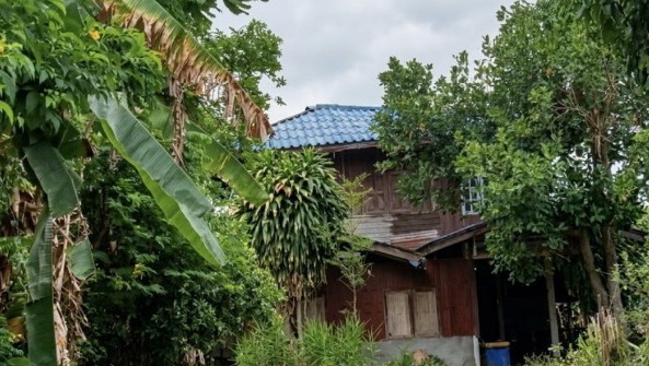 ขายทอดตลาด ที่ดินพร้อมสิ่งปลูกสร้าง ต.ไพศาล อ.ธวัชบุรี จ.ร้อยเอ็ด