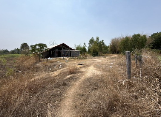 ขายทอดตลาด ที่ดินพร้อมสิ่งปลูกสร้าง ต.โพธิ์ทอง อ.เสลภูมิ จ.ร้อยเอ็ด