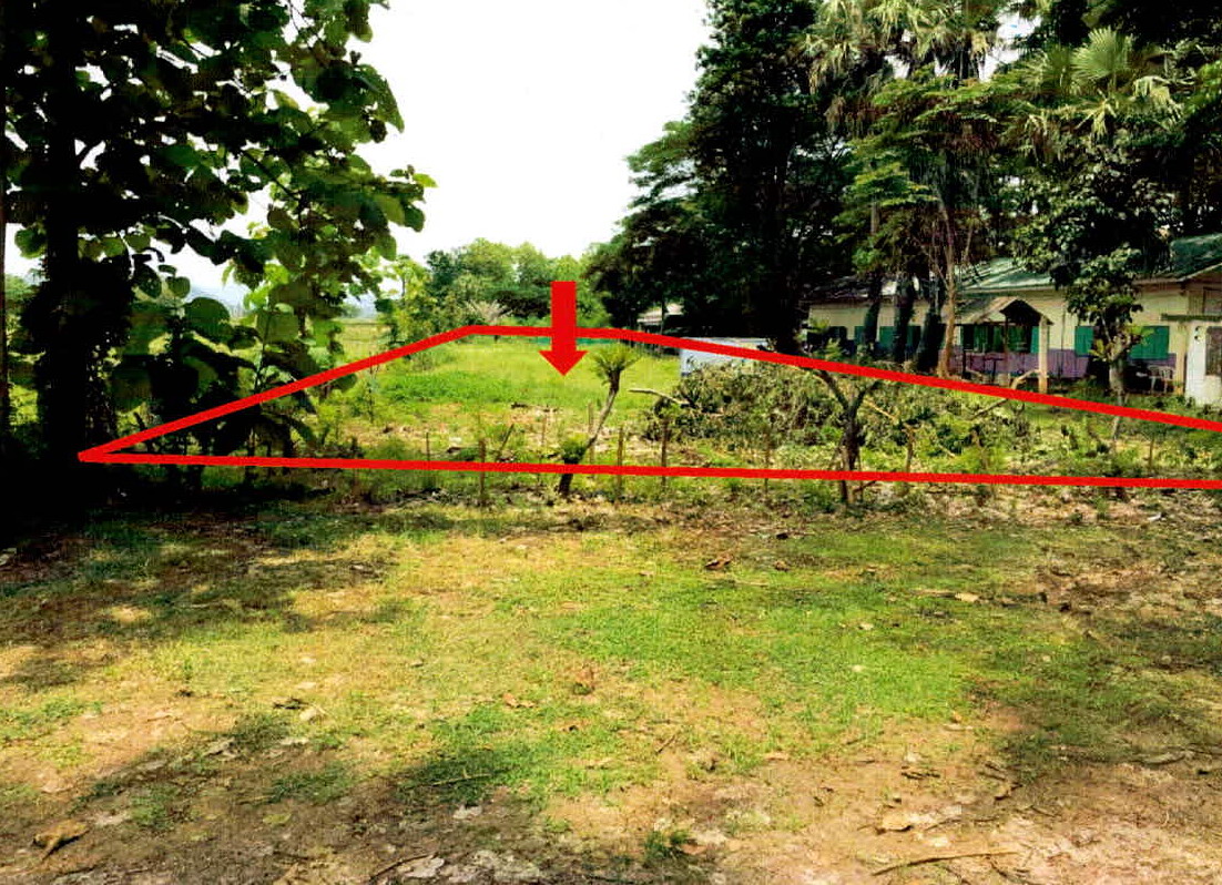 ขายทอดตลาด ที่ดินว่างเปล่า ต.ป่าตัน อ.แม่ทะ จ.ลำปาง