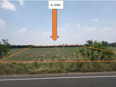 ขายทอดตลาด ที่ดินว่างเปล่า ต.ไค้นุ่น อ.ห้วยผึ้ง จ.กาฬสินธุ์
