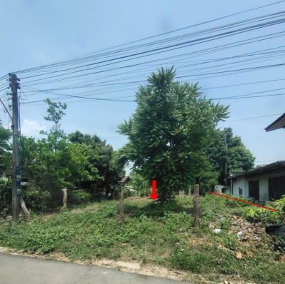 ขายทอดตลาด ที่ดินว่างเปล่า ต.โนนชัยศรี อ.โพนทอง จ.ร้อยเอ็ด