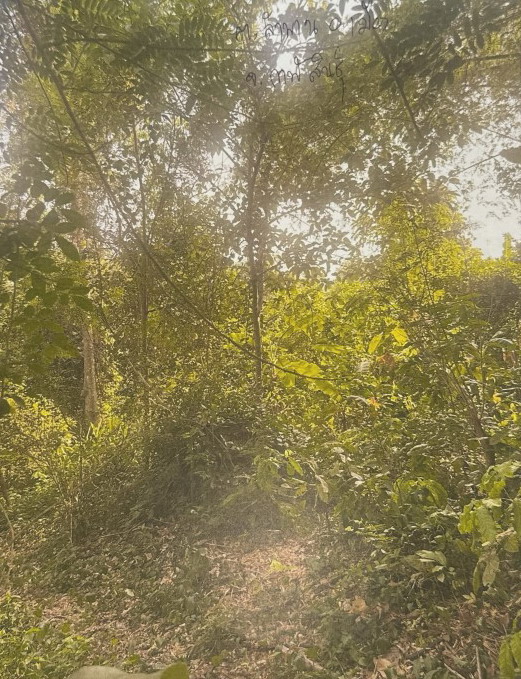 ขายทอดตลาด ที่ดินว่างเปล่า ต.ลำพาน อ.เมืองกาฬสินธุ์ จ.กาฬสินธุ์