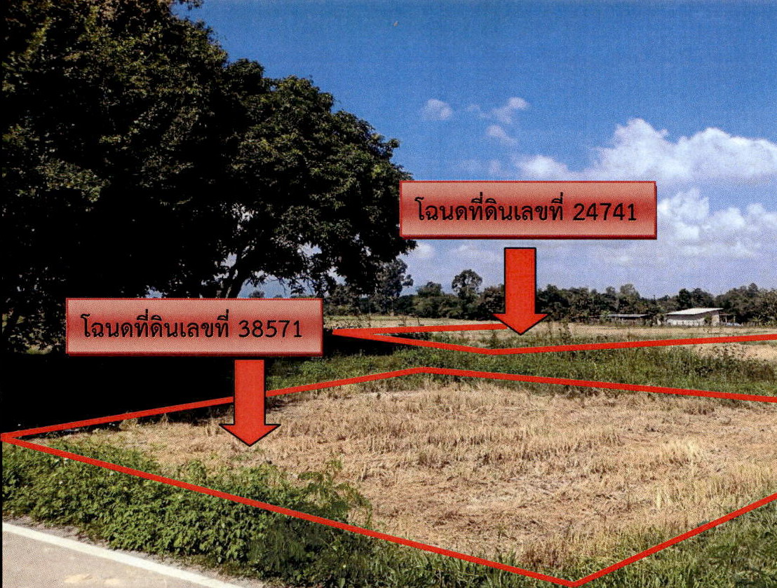 ขายทอดตลาด ที่ดินว่างเปล่า ต.หนองหล่ม อ.ห้างฉัตร จ.ลำปาง