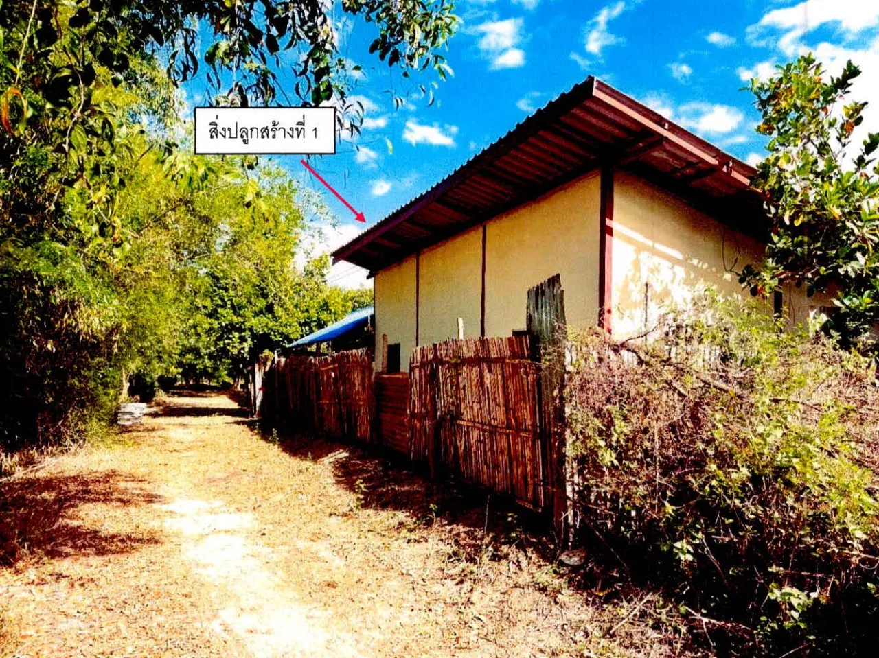 ขายทอดตลาด ที่ดินพร้อมสิ่งปลูกสร้าง ต.หนองแก้ว อ.เมืองศรีสะเกษ จ.ศรีสะเกษ