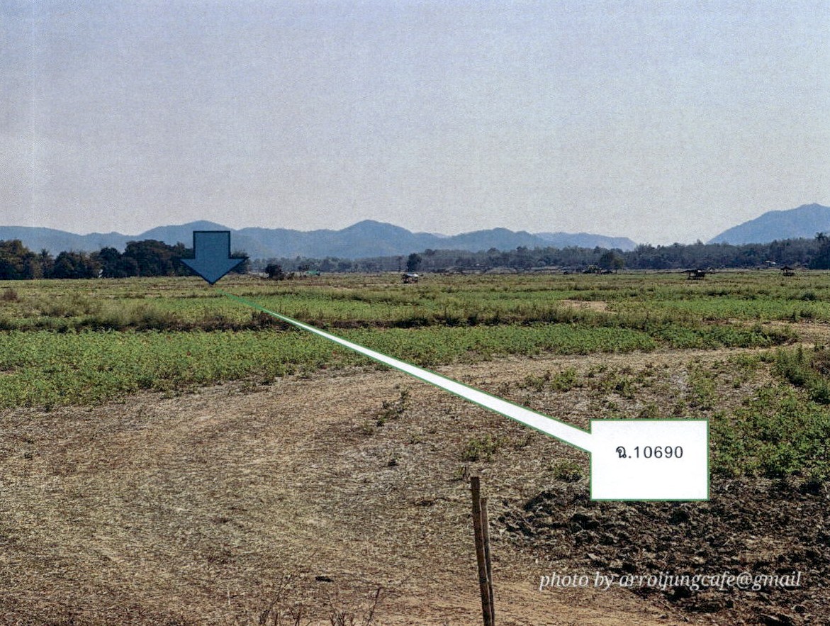ขายทอดตลาด ที่ดินว่างเปล่า ต.ทุ่งงาม อ.เสริมงาม จ.ลำปาง