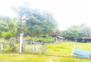 ขายทอดตลาด ที่ดินพร้อมสิ่งปลูกสร้าง ต.เมืองบัว อ.เกษตรวิสัย จ.ร้อยเอ็ด