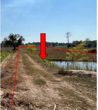 ขายทอดตลาด ที่ดินว่างเปล่า ต.สำราญ อ.สามชัย จ.กาฬสินธุ์
