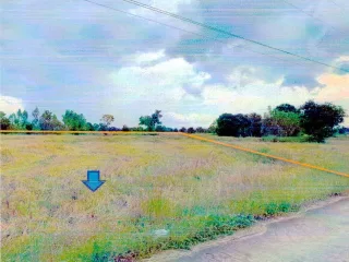 รูปทรัพย์ 2