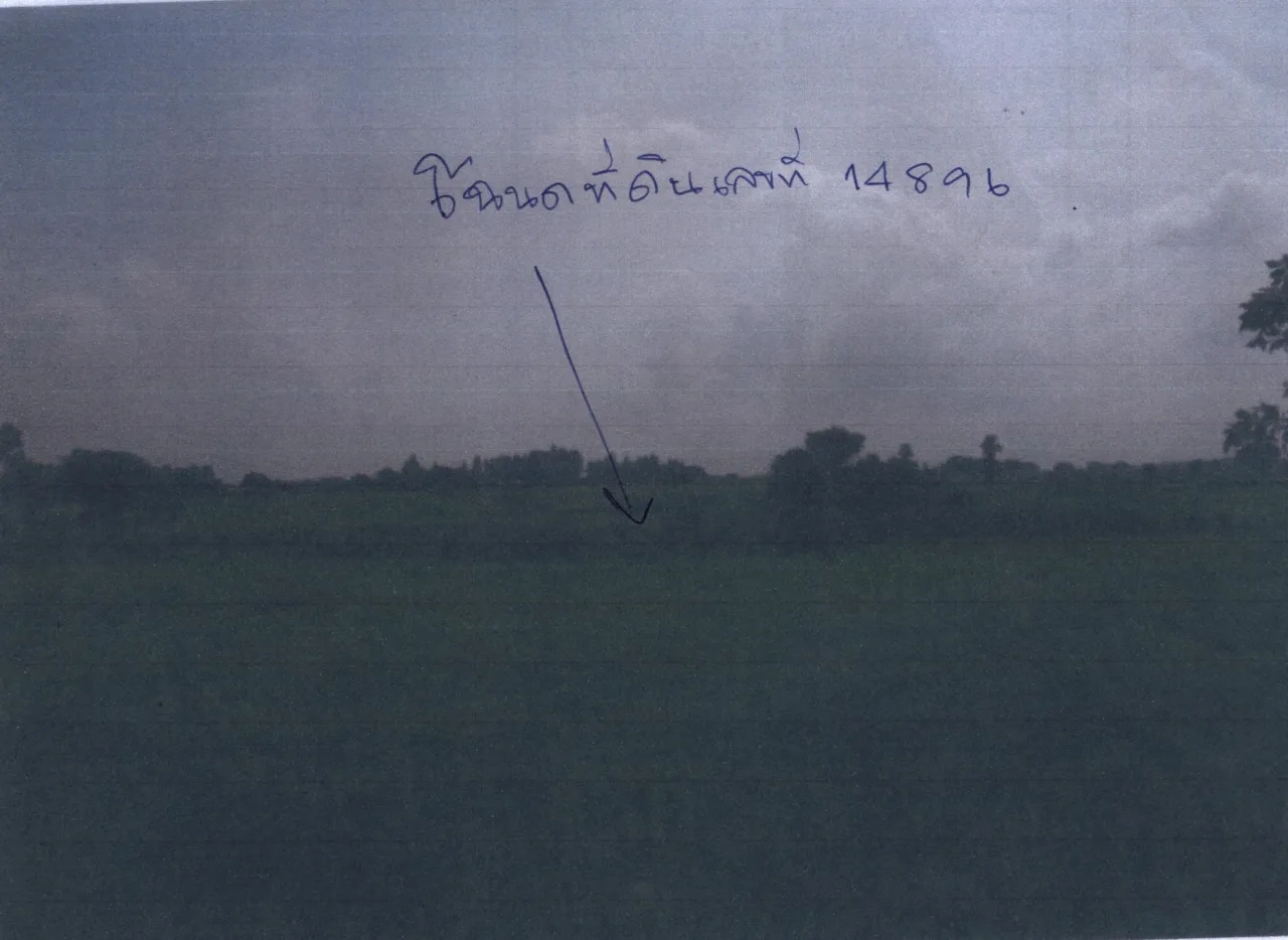 ขายทอดตลาด ที่ดินว่างเปล่า ต.นาครัว อ.แม่ทะ จ.ลำปาง