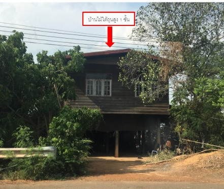 ขายทอดตลาด ที่ดินพร้อมสิ่งปลูกสร้าง ต.บ่อแก้ว อ.นาคู จ.กาฬสินธุ์