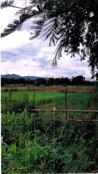 รูปทรัพย์ 1