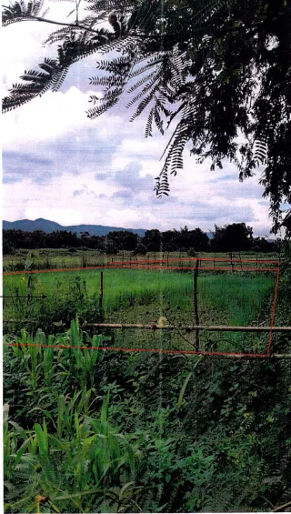 รูปทรัพย์ 2