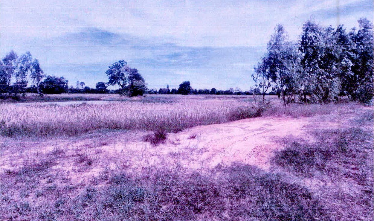 ขายทอดตลาด ที่ดินว่างเปล่า จ.ศรีสะเกษ
