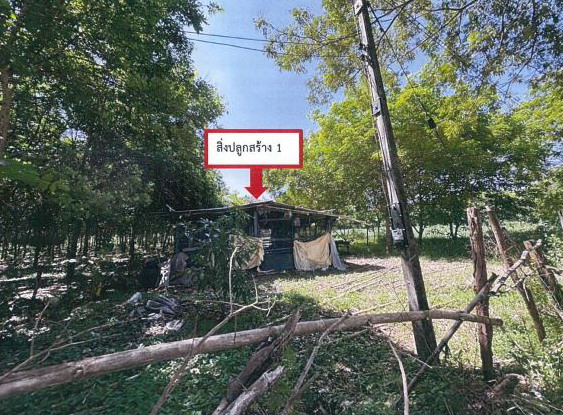 ขายทอดตลาด ที่ดินพร้อมสิ่งปลูกสร้าง ต.ลิ้นฟ้า อ.จตุรพักตรพิมาน จ.ร้อยเอ็ด